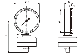 全塑隔膜压力表耐强腐压力表YTP-100SYTP-75S